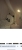 TEQW5943.JPG