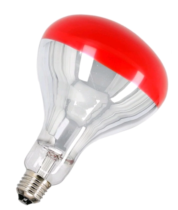 PYAG2148.JPG
