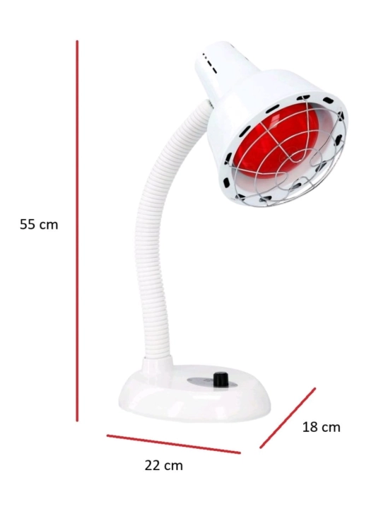 QOKU6625.JPG