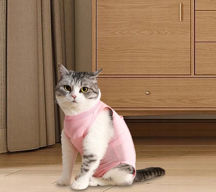 kombinezon-regeneracyjny-body-pooperacyjne-dla-kota-kitten-pink-m