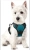 image (6).webp