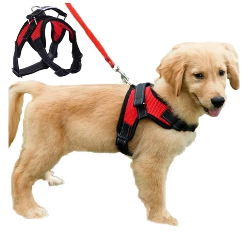 image (6).webp