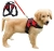 image (6).webp