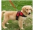 image (7).webp