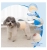 image (2).webp