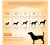 image (3).webp