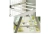 image (3).webp