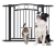 image (6).webp