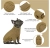 image (3).webp