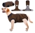 image (5).webp