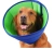 image (1).webp