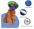 image (5).webp