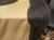 image (7).webp