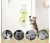 image (5).webp