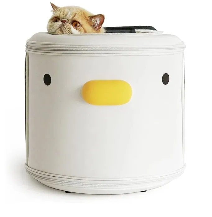 image (4).webp