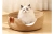 image (1).webp