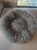 image (3).webp