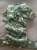 image (3).webp