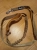 image (3).webp