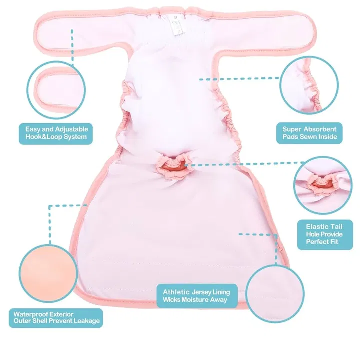 image (5).webp