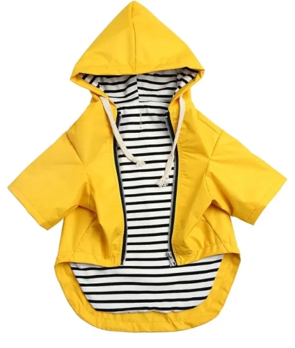 image (6).webp
