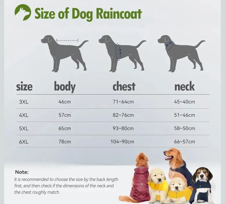 image (1).webp