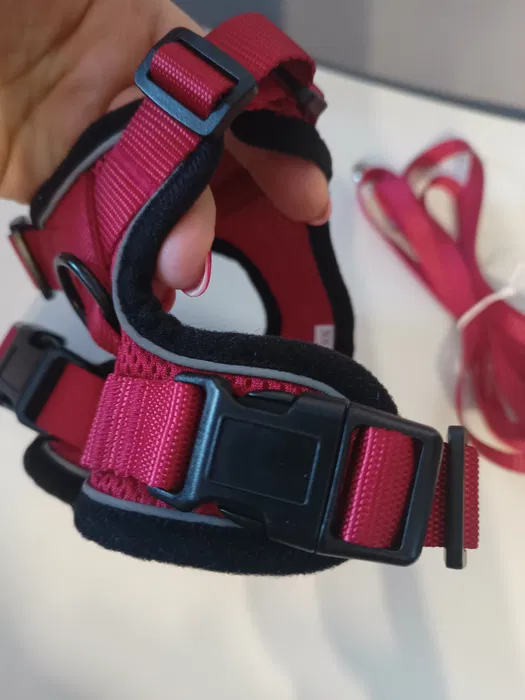 image (6).webp