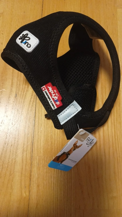 XLBV2210.JPG