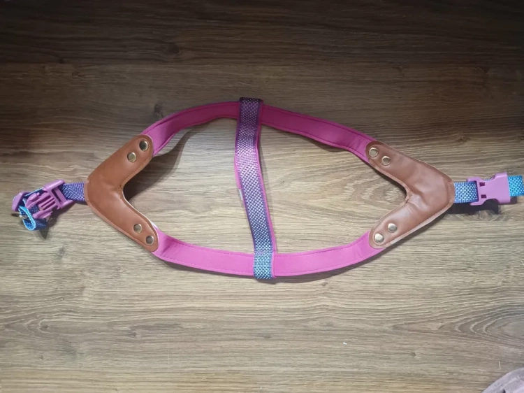 Kolorowe szelki bezuciskowe dla psa AIITLE No Pull rozmiar L wzór ombre róż fiolet niebieski