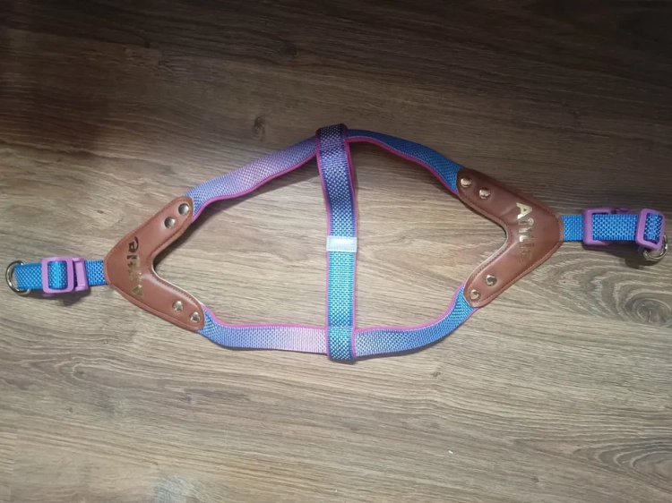 Kolorowe szelki bezuciskowe dla psa AIITLE Anti-Pull rozmiar XL wzór ombre