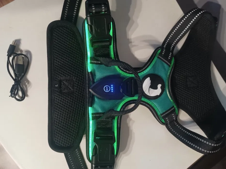 Czarne świecące szelki bezuciskowe LED dla psa Joytale rozmiar L ładowane na USB