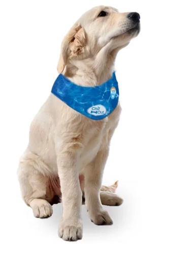 Niebieska chłodząca bandana chusta dla psa AFP Chill Out Dog rozmiar XL