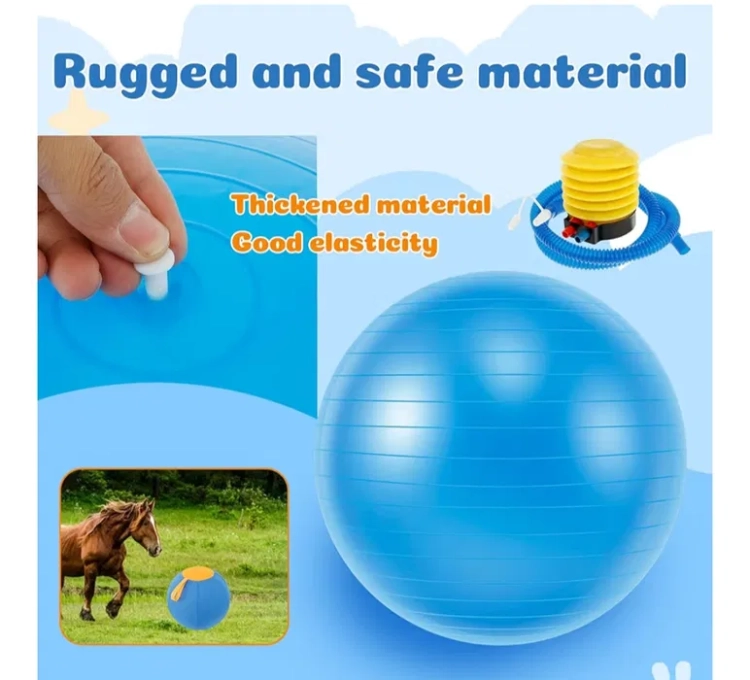 Niebieska piłka dla psa Herding Ball 65 cm w osłonie z żółtą pompką nożną