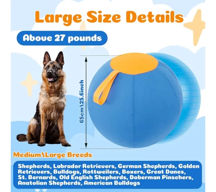 Niebieska piłka dla psa Herding Ball 65 cm w osłonie z żółtą pompką nożną