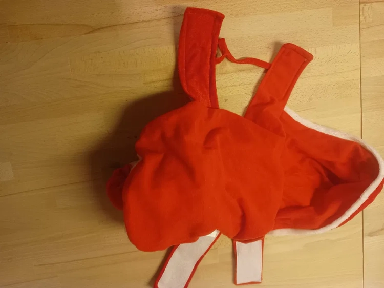 Buldog angielski w czerwonym świątecznym stroju z trójwymiarowym Mikołajem na plecach gem-ewa-mariusz.pl