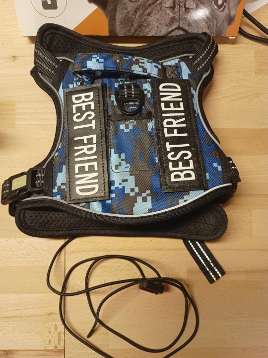 RXPQ8072.JPG